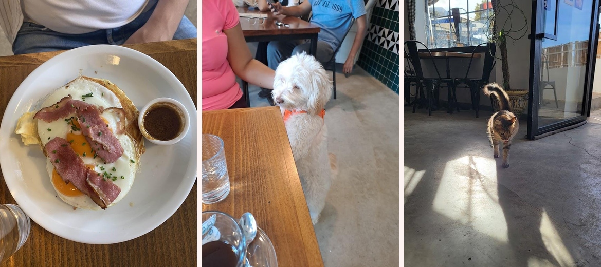 Yardbirds Gallery Image 5